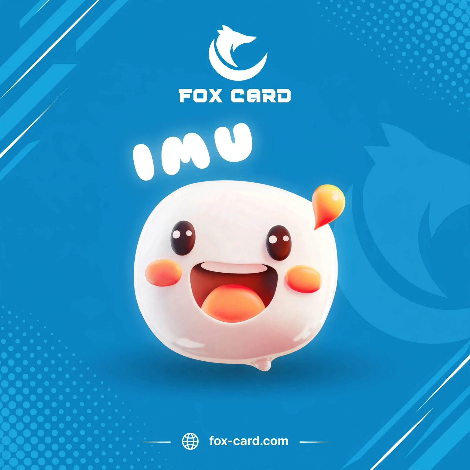 IMU