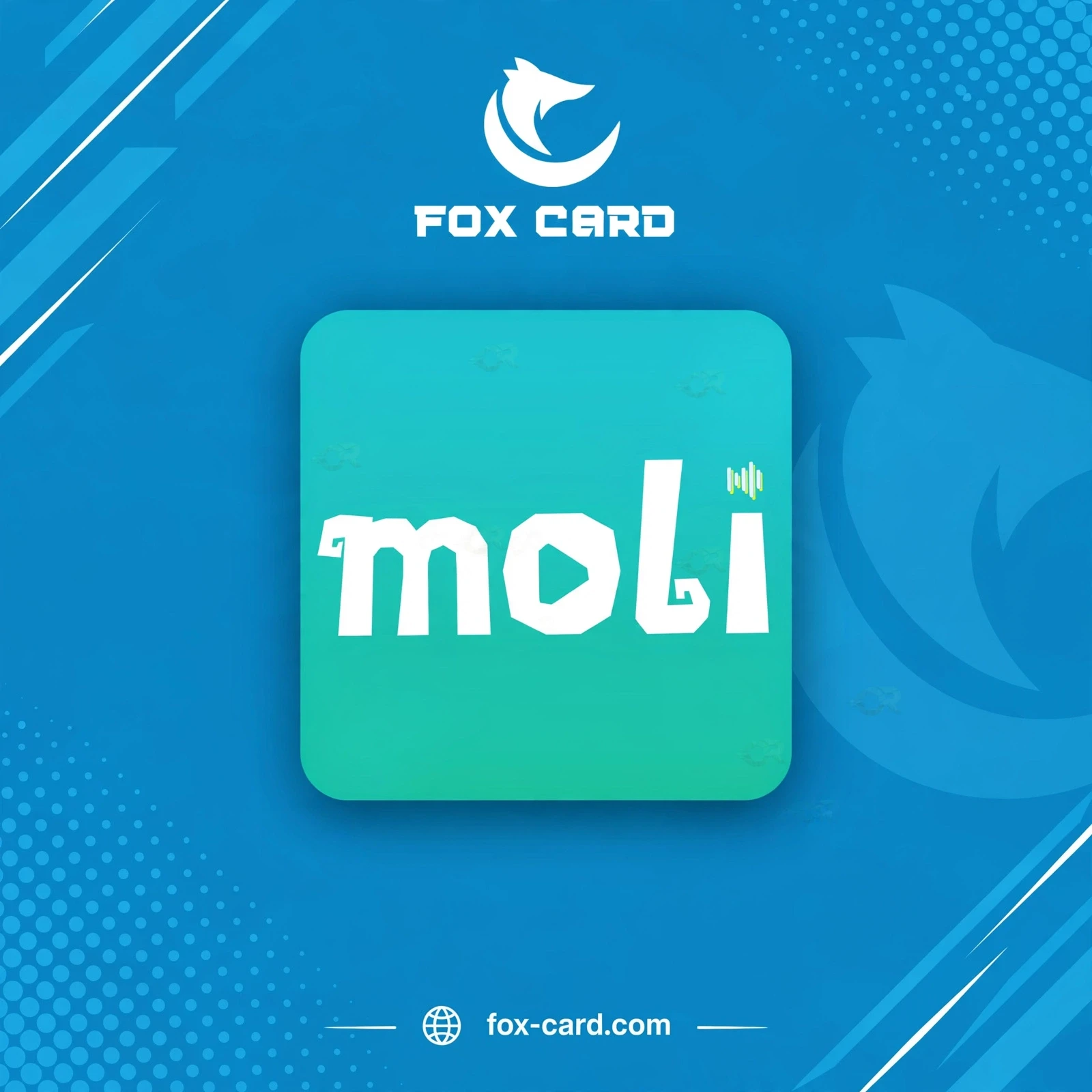 MOLI STAR